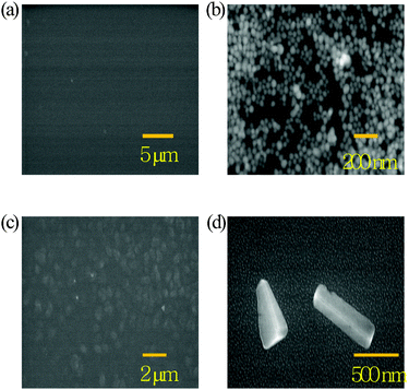 SEM images of the active layer of (a) the plain P3HT/PC71BM BHJ and (b) the BHJ with Ag NPs (0.5 wt%); (c) low-resolution SEM image and (d) high-resolution SEM image of the BHJ with Ag nanoplates (0.5 wt%).