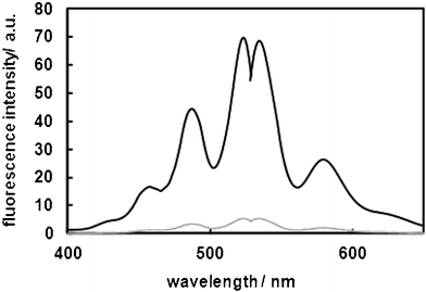 Excitation and emission spectra of Liperfluo and Liperfluo-Ox. Measurements were carried out at room temperature in ethanol.