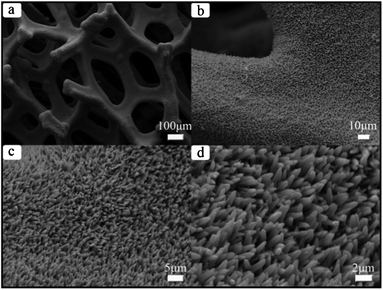 SEM images of as-obtained Ni3S21: (a) for overall view; (b), (c) and (d) for magnified SEM images.