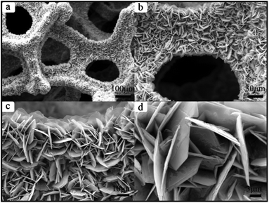 SEM images of as-prepared Ni3S22: (a) for overall view; (b), (c), and (d) for magnified SEM images.