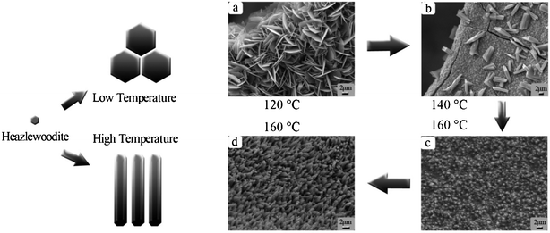 The influence of reaction temperature and solvent composition on the morphology and size of Ni3S2 microcrystals. (a) For Ni3S22, the reaction temperature is 120 °C and the volume ratio of ethyl alcohol to deionized water is 15 : 1. (b) For Ni3S23, the reaction temperature is 140 °C and the volume ratio of ethyl alcohol to deionized water is 15 : 1. (c) For Ni3S24, the reaction temperature is 160 °C and the volume ratio of ethyl alcohol to deionized water is 15 : 1. (d) For Ni3S21, the reaction temperature is 160 °C and the volume ratio of ethyl alcohol to deionized water is 12 : 4.