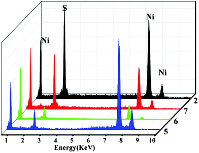 EDS measurement of as-synthesized Ni3S22, 5, 6, and 7.