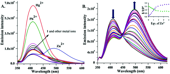 (A) Change in fluorescence intensity of 1 (10 μmol L−1) in MeOH/DMSO (99 : 1, v/v) with different cations (20 μM) in the presence of HEPES buffer at pH 7.0. (B) Fluorescence spectra of 1 (10 μmol L−1) upon addition of Zn2+ (0 to 40 μmol L−1) in MeOH/DMSO (99 : 1, v/v). Inset: Zn2+ titration profile at 410 and 492 nm.