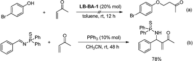 Experiments for mechanistic study.