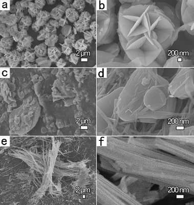 Typical SEM images of zinc vanadium oxides fabricated at selected reaction time with a constant heating temperature of 200 °C and Zn(NO3)2 concentration of 0.25 mol L−1: (a,b) 3 h, Zn2V2O7 and ZnV2O6 microflowers for sample 2; (c,d) 12 h, the coexistence of ZnV2O6 and Zn2V2O7 microsheets and nanowires for sample 3; and (e,f) 48 h, m-ZnV2O6 meso/nanowires with diameter of 100–400 nm for sample 4.