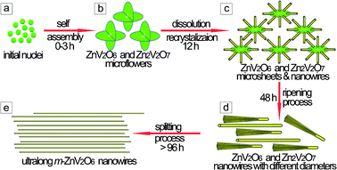 Proposed formation process of the zinc vanadium oxide nanostructures: (a) nanoparticles, the mixture of Zn2V2O7 and ZnV2O6; (b) micro/nanoflowers, the coexistence of Zn2V2O7 and ZnV2O6; (c) microsheets and nanowires, the mixture of Zn2V2O7 and ZnV2O6; (d) dominating meso/nanowires, the coexistence of Zn2V2O7 and ZnV2O6; and (e) ultralong nanowires, pure m-ZnV2O6.