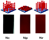 Cartoon images (top) and digital photo-images of nanoparticle chains (Nc), nanoparticles (Np) and nanorods (Nr) on FTO substrates.