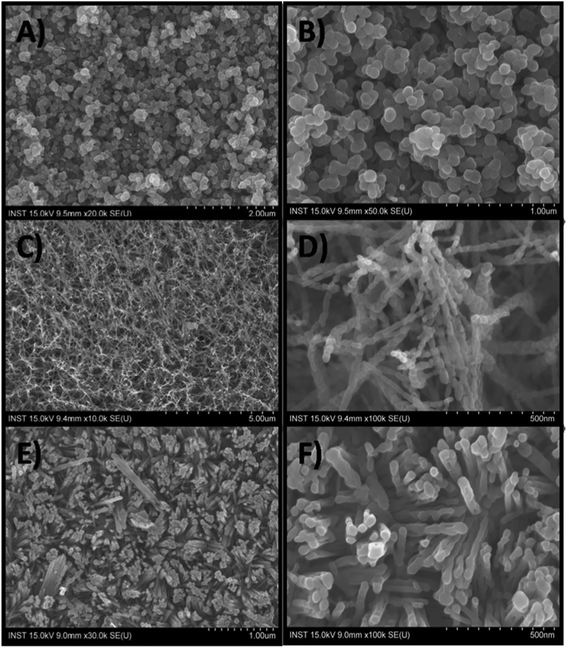 Scanning electron microscopic images of nanoparticles (A and B), nanoparticle chains (C and D) and nanorods (E and F).