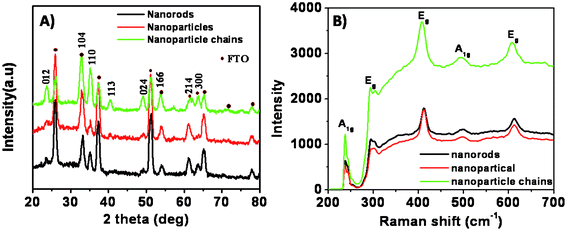 (A) XRD patterns of iron oxide samples on FTO substrates with different morphologies, (B) Raman spectra of the samples.