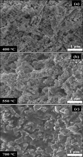 SEM images showing the morphology of the fuel cells sintered at different temperatures for 5 min at 25 MPa: (a) cell A, (b) cell B and (c) cell C.