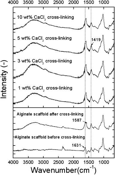 Infrared (IR) spectra of the alginate scaffolds cross-linked with various cross-linking agents (1, 3, 5, and 10 wt%). Lower graph: IR data showing alginate scaffolds before and after treatment with 5 wt% CaCl2.