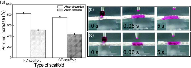 (a) Increased water absorption (%) and retention by FC- and CF-scaffolds, and optical images of the water wettability of the (b) FC-, and (c) CF-scaffolds vs. time.
