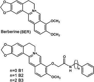 Chemical structures of BER, B1, B2 and B3.