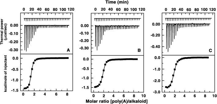 Top panel: Representative ITC profile for the binding of alkaloids to poly(A) indicating the raw data for sequential injection of 10 μL of poly(A) into (A) B1, (B) B2, (C) B3 solution (curves on the bottom) and poly(A) dilution control (curves at the top offset for clarity). Bottom panel: Plot of integrated heat data after correction of heat of dilution of poly(A) against the molar ratio of the alkaloid to poly(A). The data were fitted to a one-site model and the solid curves represent the best fit.