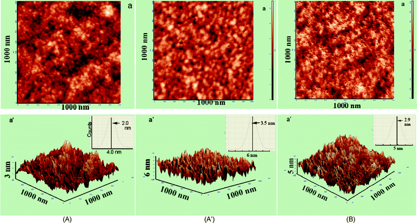 (A) AFM images of fresh SP1: 2D (a), 3D (a′), inset: roughness histogram. (A′) AFM images of aged SP1: 2D (a) and 3D (a′), inset: roughness histogram. (B) AFM images of fresh SP2: 2D (a) and 3D (a′), inset: roughness histogram.