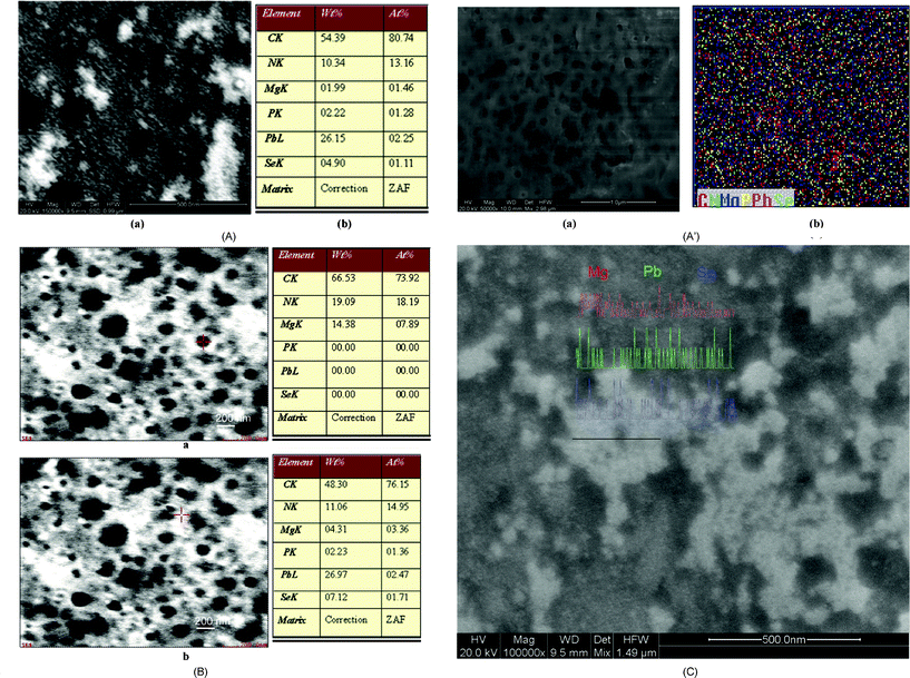 (A) FESEM image of fresh SP1 (a) and its EDAX analysis (b). (A′) FESEM image of aged SP1 (a) and its elemental mapping (b). (B) FESEM image and EDAX analysis of aged SP1. (C) FESEM image of fresh SP2 with elemental mapping.