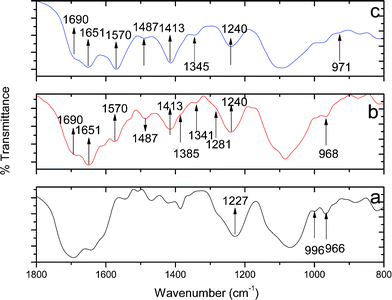 Mid IR spectra of SB (a), SB1 (b), and SP1(c).