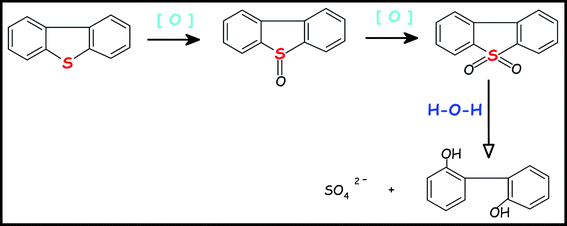 borohydride reduction 2 carbomethoxytropinone