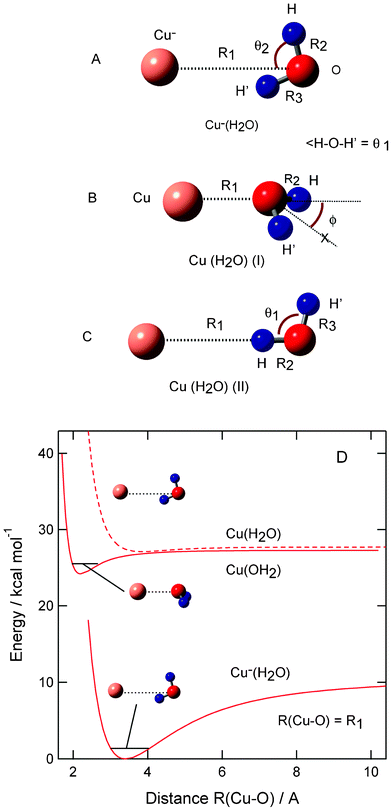 Optimized structures of (A) anion complex Cu−(H2O), (B) neutral complex CuH2O (I) and (C) CuH2O (II) calculated at the MP2/6-311++G(2d,2p) level. (D) Potential energy curves for Cu–H2O systems plotted as a function of R(Cu–O) distance.