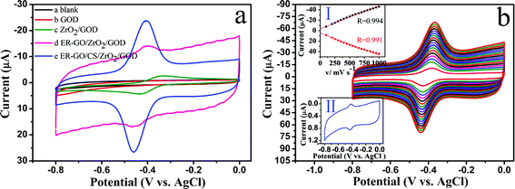 (a) Cyclic voltammograms (CVs) of the different electrodes in 0.1 M pH 7.4 PBS solution at 200 mVs−1. (b) CVs of ER-GO/CS/ZrO2/GOD modified GCE in 0.1 M pH 7.4 PBS solution at different scan rates (from 100 to1000 mV s−1, inside to outside). Inset of (b) is plots (I) of peak currents versus scan rate, and CV(II) of the ER-GO/CS/ZrO2/GOD modified electrode with a peak-to-peak separation of 10 mV in 0.1 M pH 7.4 PBS solution at 10 mVs−1.