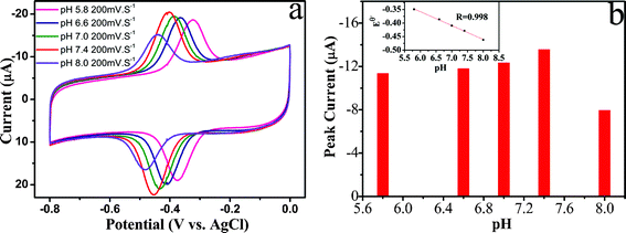 (a) CVs of ER-GO/CS/ZrO2 composite modified GCE in 0.1 M argon-saturated PBS solution with different pH values at 200 mV s−1. (b) Plot of peak current versus pH value. Inset of (b) is the plot of Eθversus pH value.