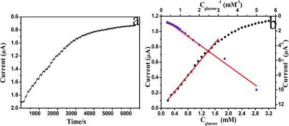 (a) Typical steady state response of the biosensor on successive injection of 0.1 mmol glucose solution into 0.1 M pH 7.4 argon-saturated PBS solution while stirring, at an applied potential of −0.4 V. (b) The calibration curve (current versus glucose concentration) and Lineweaver–Burk plot (current−1versus concentration−1) from the current–time curve.