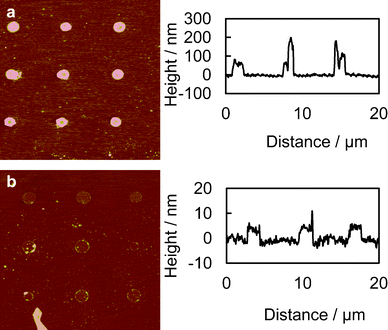 AFM scans of the chemically patterned surfaces. (a) Thick layer of PEI; thickness approximately 100–200 nm and (b) monolayer of PEI patterns, fabricated by rinsing the thick PEI layer patterns with DI water to remove the PEI not directly adsorbed on the glass surface; thickness is approximately 5 nm. Images were processed with the Nanoscope Median filter with an order of 3 × 3 to filter out the high-frequency noise.