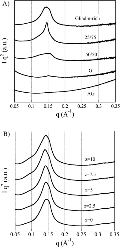 A) SAXS profiles with the beam penetrating the foam in the thickness direction. B) SAXS profiles of the gliadin-rich specimen sampled from top to bottom (z is the distance from the bottom to the top).