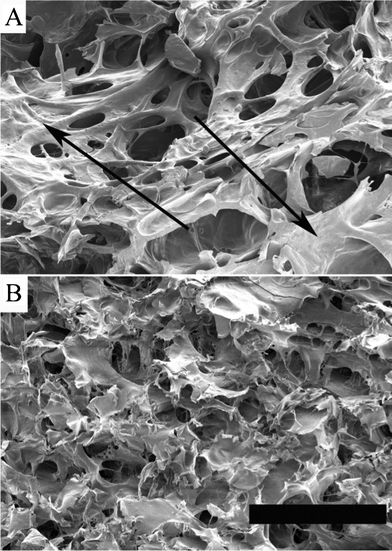 FE-SEM images of the cellular structure of a) the AG foam (arrows indicate unfoamed areas) and b) the G foam. The scale bar is 300 μm.