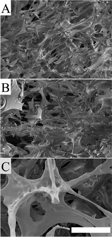 FE-SEM images showing the cellular structure of: a) the 50/50 foam, b) the 25/75 foam and c) the gliadin-rich foam. The scale bar is 300 μm.