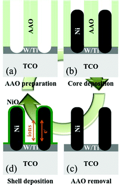 Schematic illustrations of the (a) AAO template prepared on a TCO substrate, (b) AAO template partially filled with Ni, (c) aligned Ni NW arrays after dissolving the AAO template, and (d) Ni-NiO core-shell NW arrays after Ni(OH)2 deposition and subsequent thermal annealing.