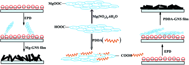 Scheme of the deposition mechanism of two kinds of GNS films.