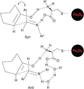 Proposed syn- and anti-intermediates.