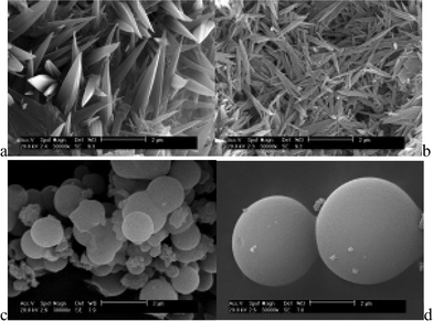 Morphologies of different terbium hybrid systems of ORMOSILs with derived ligands (a, b: benzimidazole-5-carboxylate, c: 2-aminopyridine and d: 2,2′-bipyridyl amine). Reprinted with permission from ref. 23b,c,d. Copyright 2008, Elsevier Ltd.