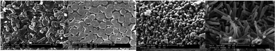 Selected SEM images of lanthanide hybrid materials with 1,4-hydroxynicotinic-acid-derived ORMOSILs and polymers (polymethacrylic acid or co-polymer of methacrylic acid and acrylamide). Reprinted with permission from ref. 65d. Copyright 2009, American Chemical Society.