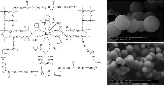 Scheme of synthesis of hybrid polymer materials and SEM images of TTA-Si-Eu-phen (top) and TTA-Si-Eu-phen-PEG (bottom). Reprinted with permission from ref. 68b. Copyright 2009, American Chemical Society.