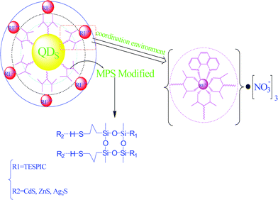 Scheme for synthesis of the hybrids phen-Eu-TAASi-SiO2-MS-CdS. Reprinted with permission from ref. 73d. Copyright 2010, Elsevier Ltd.