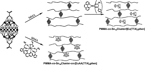 Proposed mechanisms for the formation of PMMA-co-Sn12Cluster/[Eu(TTA)3phen] and PMMA-co-Sn12Cluster-co-[EuAcAc(TTA)2phen] hybrid materials. Reprinted with permission from ref. 74a. Copyright 2010, Wiley Publishing Company.
