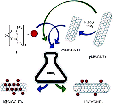 Schematic representation of the nano-extraction technique. The structure of complex 1 and the products of the functionalization of MWCNTs. Reprinted with permission from ref. 77a. Copyright 2011, Wiley Publishing Company.