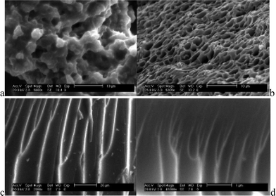 Morphologies of different terbium hybrid systems of ORMOSILs with aromatic carboxylate groups (a: m-aminobenzoate, b: benzoate, c: picolinate and d: 2-chloronicotinate). Reprinted with permission from refs. 22b and 24a,e,f. Copyright 2004–2006, Royal Society of Chemistry and Elsevier Ltd.