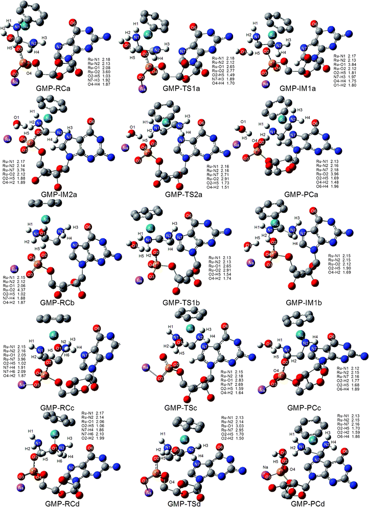 Optimized structures for the species and selected structural parameters of the reaction of 1 with 5′-GMP under neutral conditions. Some hydrogen atoms are omitted for clarity. The distances reported are in Angstroms.