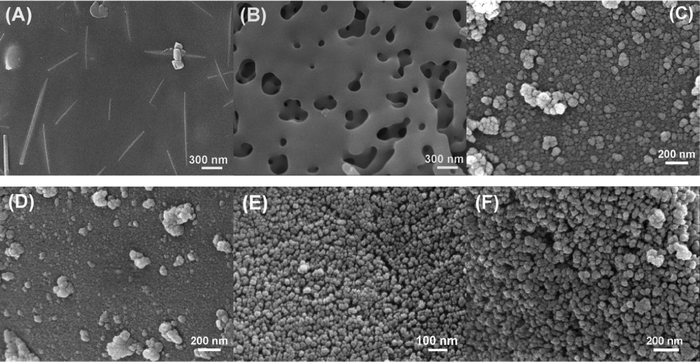 SEM images of silica samples. (A) and (B): RHS1; (C): RHS2-700; (D): RHS2-800; (E): RHS3-700; (F): RHS3-800.
