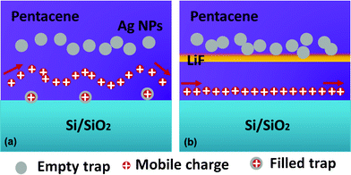 Schematic demonstration of the charge transport mechanism: (a) the screening effect caused by Ag nanoparticle traps states in the device channel without an LiF layer; (b) the LiF blocking effect for Ag nanoparticle penetration into the pentacene channel in the device with an LiF layer.