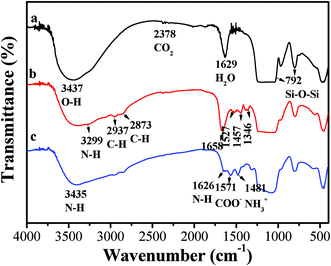 FTIR spectra for unmodified R40 (a), TEPA-modified R40-50 (b) and TEPA-modified R40-50 after the adsorption of CO2 (c).