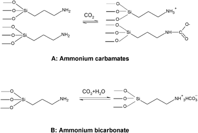 Surface reaction of amine groups with CO2; (A): formation of surface ammonium carbamates under anhydrous conditions and (B) the formation of ammonium bicarbonate and carbonate species in the presence of water.