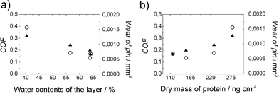 a) Coefficient of friction (COF) (○) and wear (▲) as a function of water contents of the protein layer. b) Coefficient of friction (○) and wear (▲) as a function of the dry mass of protein adsorbed on a stainless steel surface. The data is combined from adsorption and tribology measurements of 1.0 g L−1 HFBI and FpHYD5 in water and 50 mM buffer solutions.