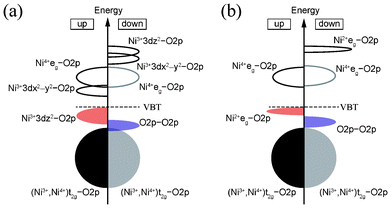 Schematic diagrams of bonding states of ferromagnetic (a) 1 : 1 CO Imma phase, and (b) 1 : 3 CO P4332 phase, of LiNi2O4.
