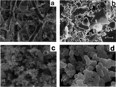 FESEM pictures of (a) bare ESM, (b) Au impregnated ESM and (c) and (d) 80 °C dried membrane showing spherical particles.