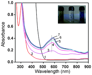 UV-Vis spectra of the reaction of ESM with chloroauric acid solution (10−2 M), recorded as a function of time. Curves (1–7) represent blank HAuCl4 and the spectral changes observed for 1–6 days. The inset shows the stable colloidal dispersion and the starting solution (yellow).