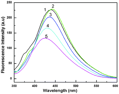 Fluorescence spectra of a colloidal solution of Au nanoparticles at different excitation wavelengths. Curves (1–5) represent excitation wavelengths of 330, 340, 350, 360 and 370 nm, respectively (HAuCl4, 10−2 M).